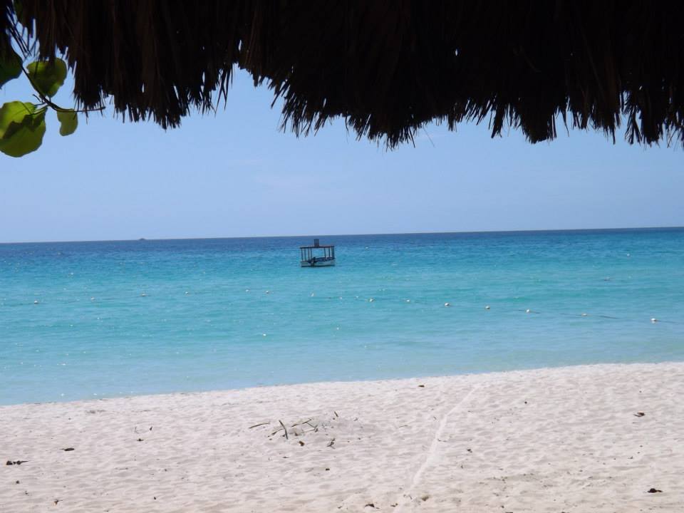Name:  944150_135483759980753_1682121206_n.jpg
Views: 2186
Size:  58.2 KB