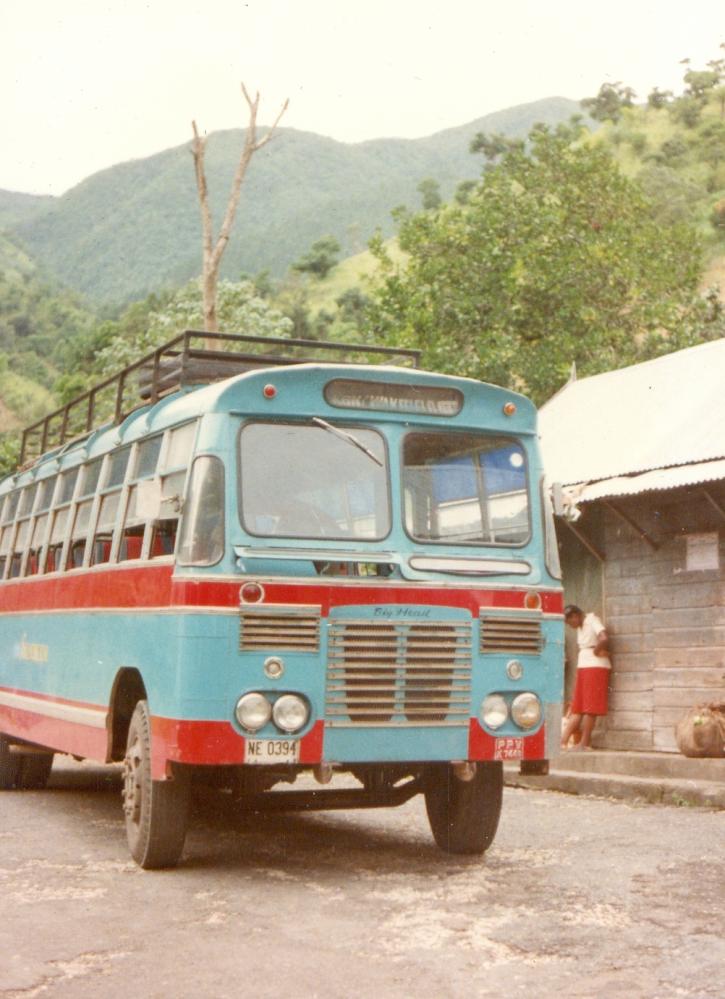 Name:  Honey Bee Bus.jpg
Views: 1285
Size:  91.6 KB