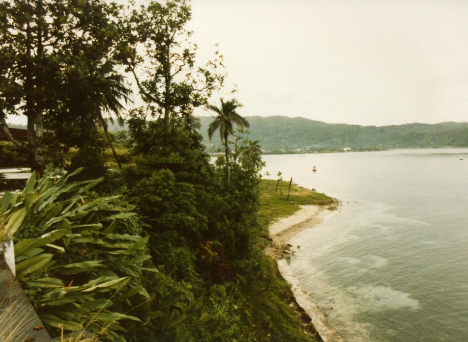 Name:  Port Antonio Coastline.jpg
Views: 310
Size:  93.3 KB