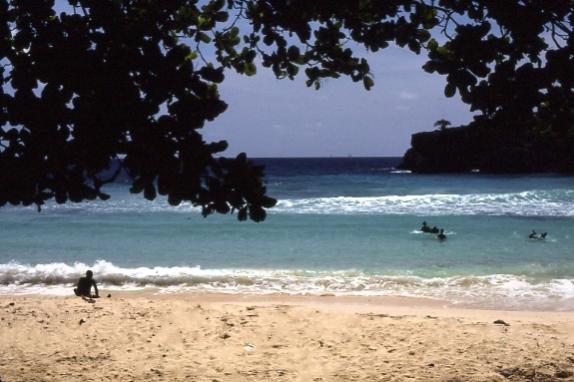 Name:  Frenchmans Cove.jpg
Views: 254
Size:  38.2 KB