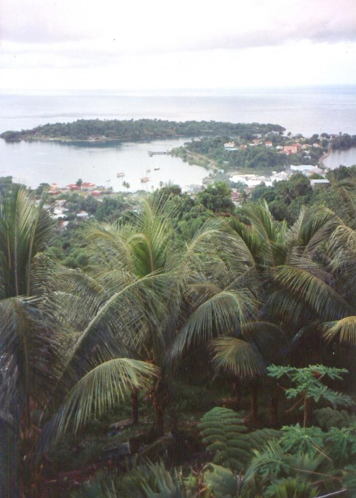 Name:  Navy Island.jpg
Views: 305
Size:  93.1 KB