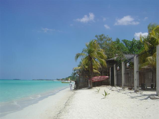 Name:  jamaica2011 037 (Small).jpg
Views: 217
Size:  35.5 KB
