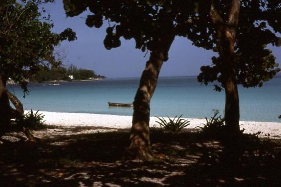 Name:  Negril Beach Shade.jpg
Views: 511
Size:  32.1 KB
