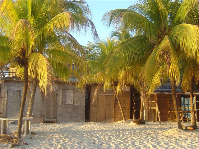Name:  DSC00188 (Small).JPG
Views: 221
Size:  84.5 KB