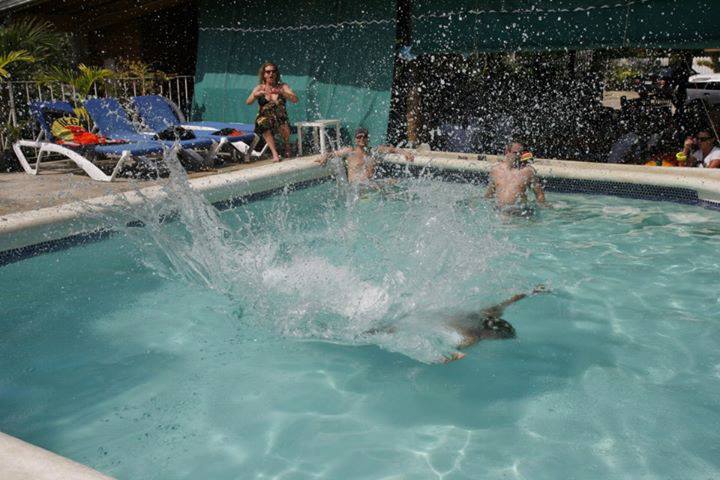 Name:  971075_136766099852519_255332970_n.jpg
Views: 2029
Size:  58.2 KB