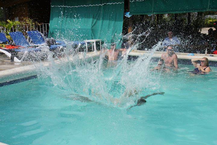 Name:  922944_136778609851268_1206683616_n.jpg
Views: 2107
Size:  58.9 KB