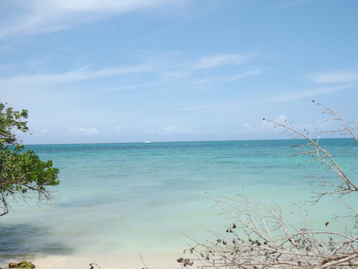 Name:  jamaica apr2013 new camera pt 1 666.jpg
Views: 1952
Size:  82.4 KB