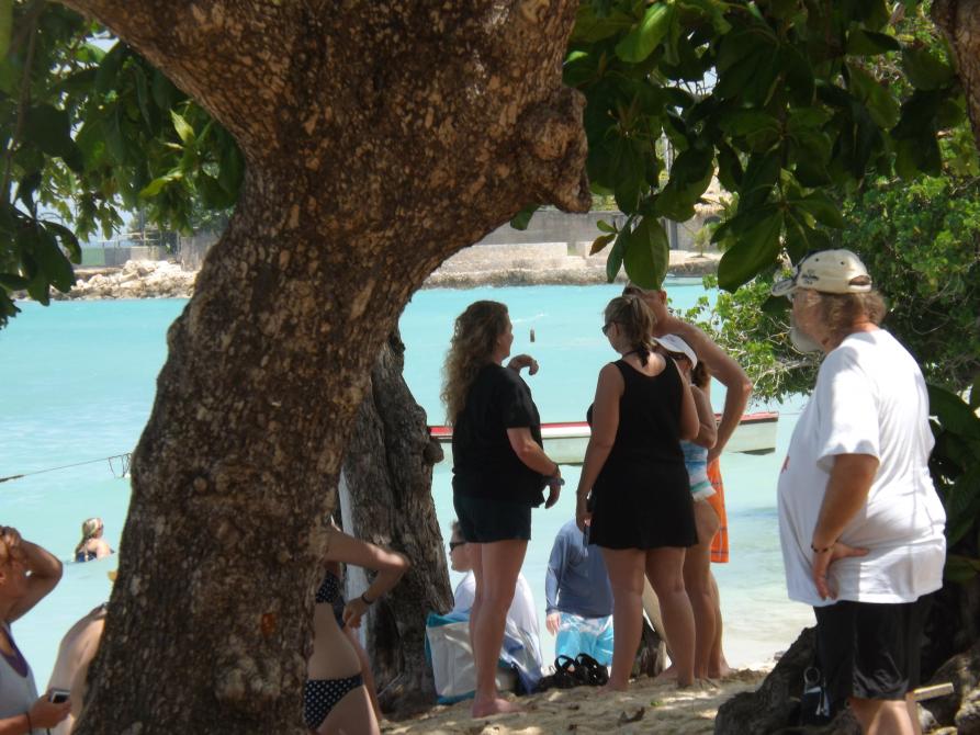 Name:  jamaica apr2013 new camera pt 1 669.jpg
Views: 1943
Size:  93.6 KB