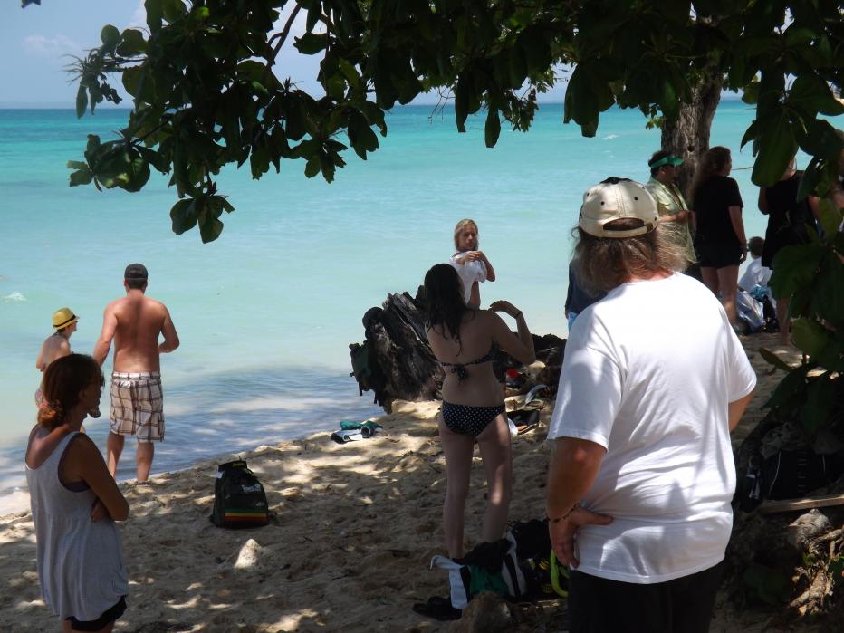 Name:  jamaica apr2013 new camera pt 1 670.jpg
Views: 1918
Size:  92.7 KB