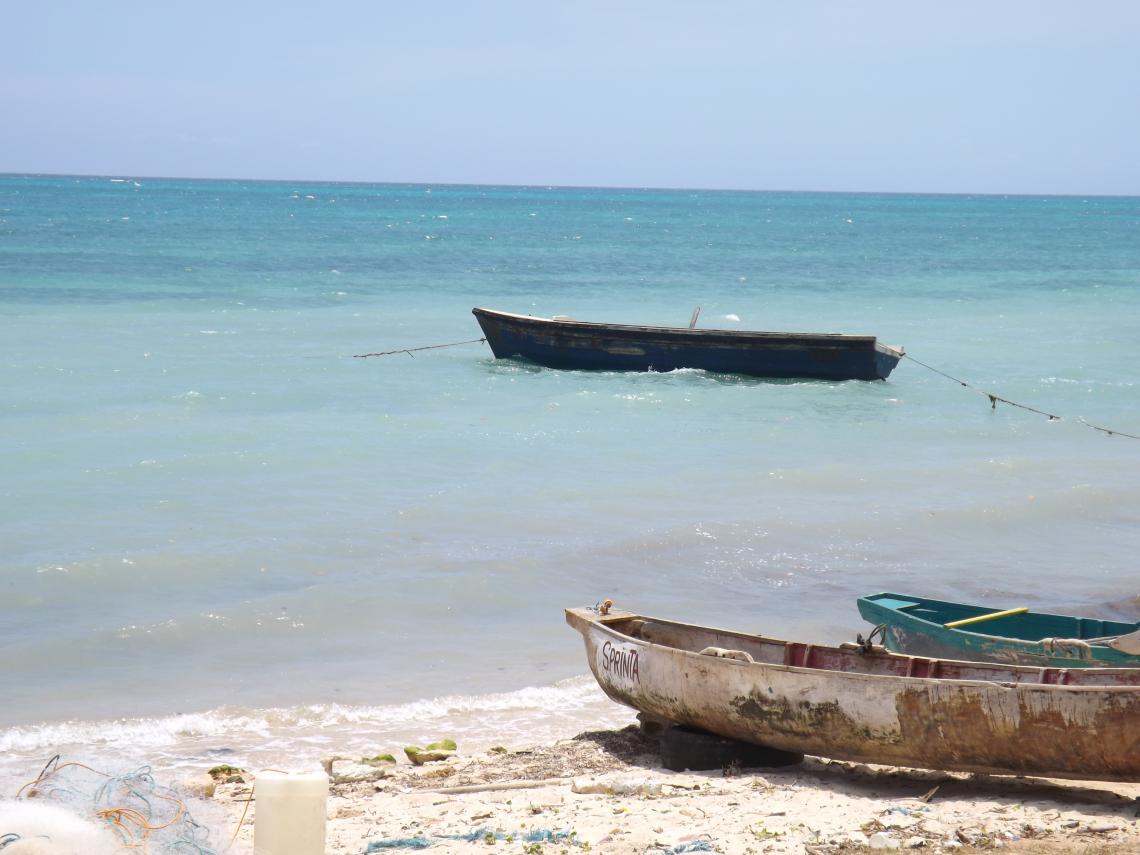 Name:  jamaica apr2013 new camera pt 1 704.jpg
Views: 1933
Size:  89.4 KB