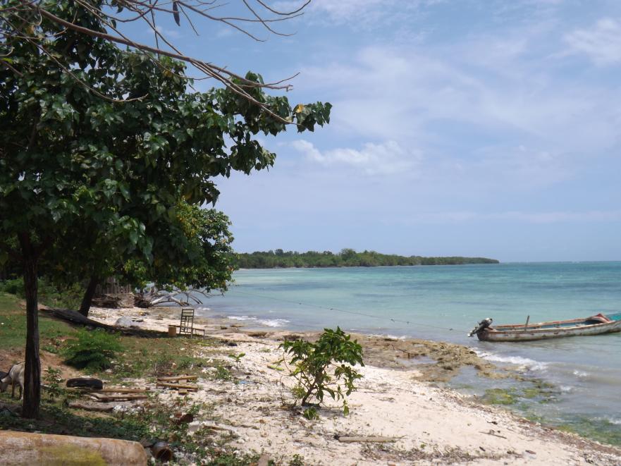 Name:  jamaica apr2013 new camera pt 1 707.jpg
Views: 1884
Size:  95.8 KB