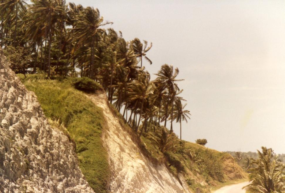 Name:  Coastal Breeze.jpg
Views: 700
Size:  96.0 KB