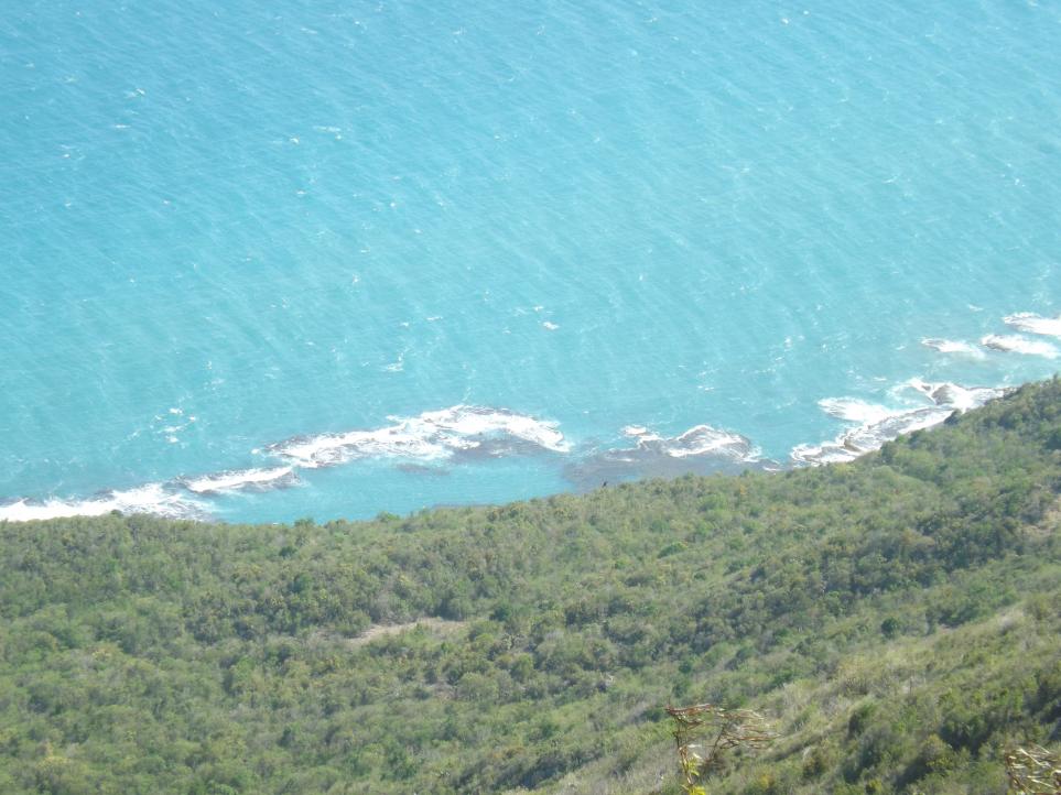 Name:  jamaica apr2013 new camera pt 1 722.jpg
Views: 2000
Size:  95.2 KB