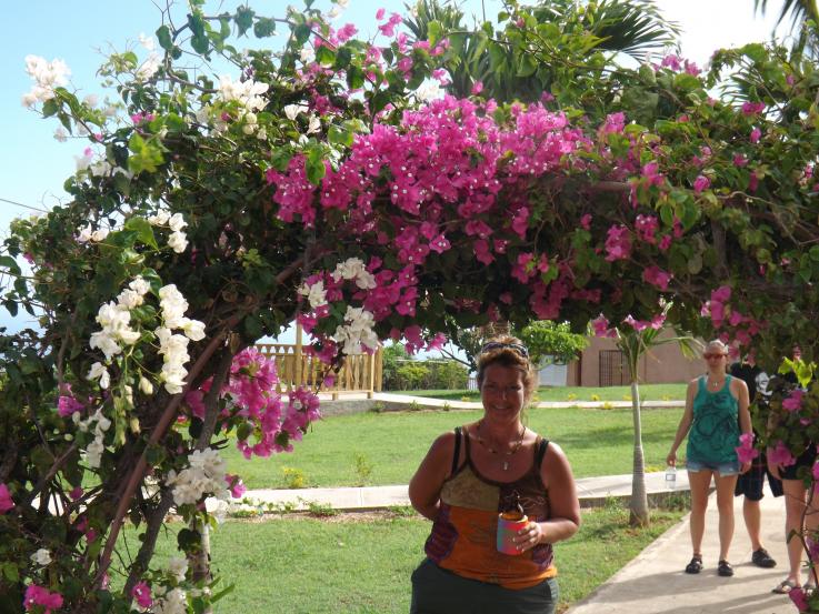 Name:  jamaica apr2013 new camera pt 1 743.jpg
Views: 1877
Size:  101.4 KB