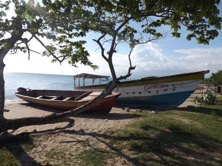 Name:  jamaica apr2013 new camera pt 1 748.jpg
Views: 1782
Size:  99.6 KB