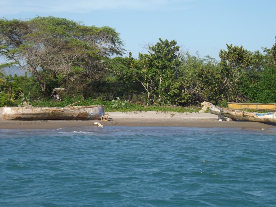 Name:  jamaica apr2013 new camera pt 1 761.jpg
Views: 1698
Size:  95.3 KB