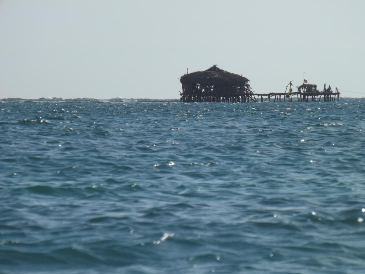 Name:  jamaica apr2013 new camera pt 1 763.jpg
Views: 1606
Size:  84.0 KB