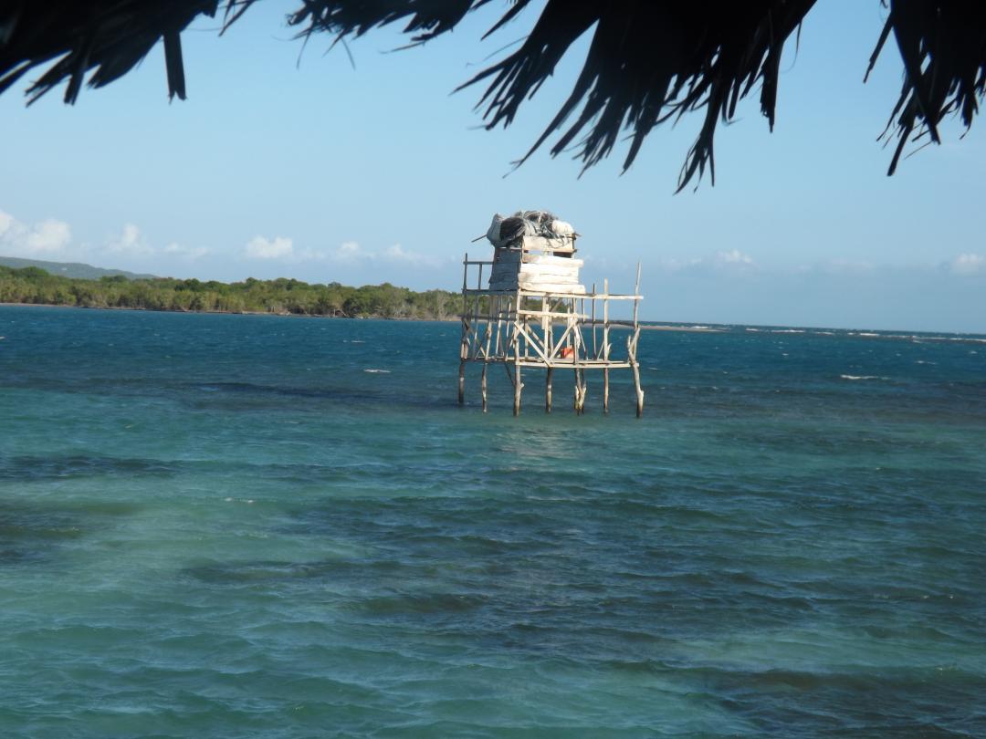 Name:  jamaica apr2013 new camera pt 1 774.jpg
Views: 1632
Size:  88.2 KB