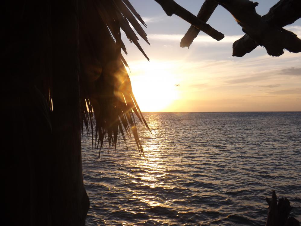Name:  jamaica apr2013 new camera pt 1 817.jpg
Views: 1647
Size:  91.5 KB