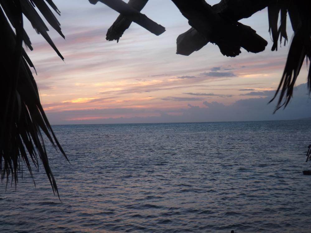 Name:  jamaica apr2013 new camera pt 1 836.jpg
Views: 1631
Size:  91.0 KB