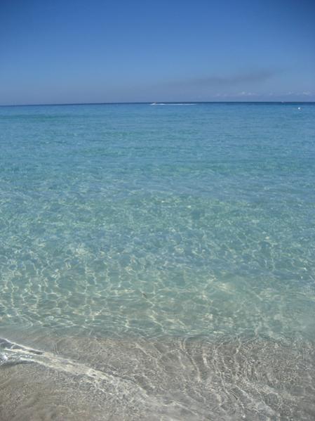Name:  Jamaica 2008-2009-102.jpg
Views: 1380
Size:  35.6 KB