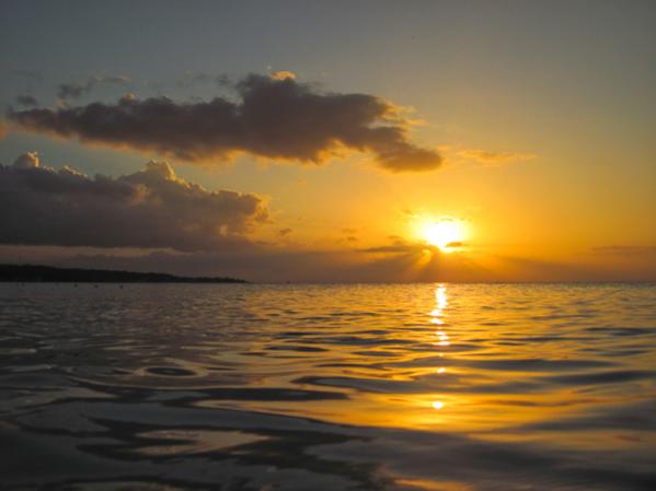 Name:  Jamaica 2010-3201.jpg
Views: 1401
Size:  25.0 KB