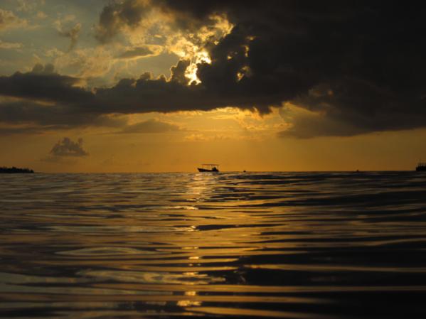 Name:  Jamaica Nov 2009-986.jpg
Views: 1395
Size:  28.5 KB