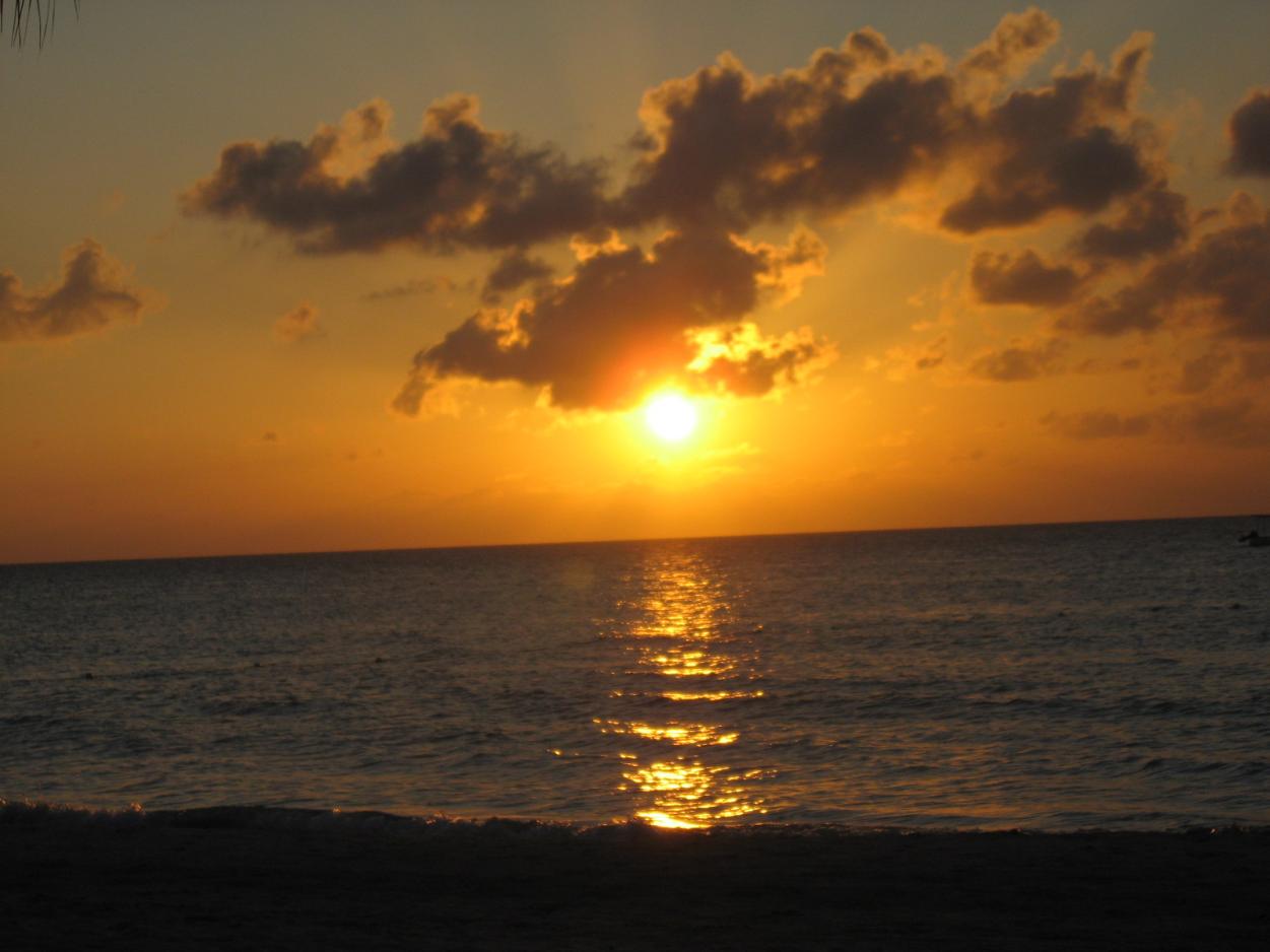 Name:  IMG_2894.jpg
Views: 1523
Size:  84.0 KB
