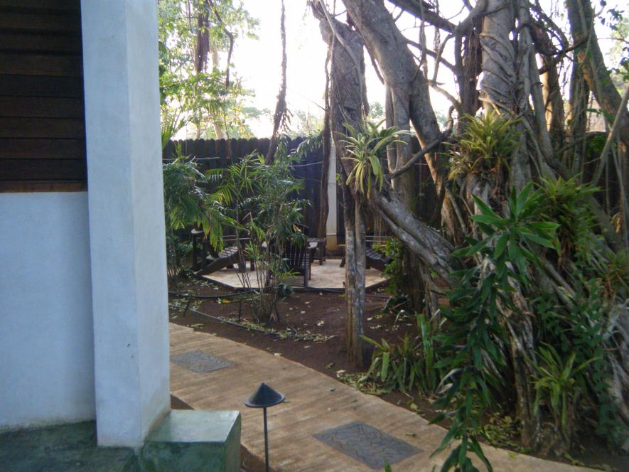 Name:  DSCF5092.jpg
Views: 841
Size:  95.1 KB