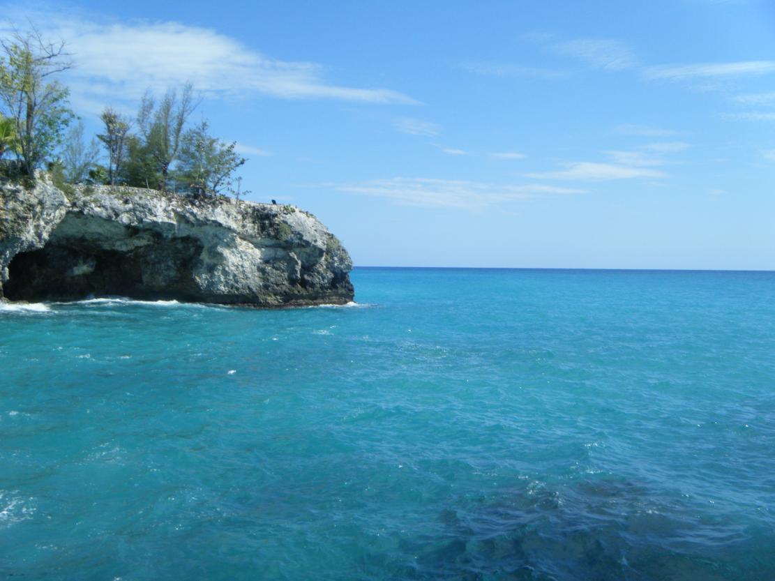 Name:  DSCF5026.jpg
Views: 725
Size:  90.4 KB