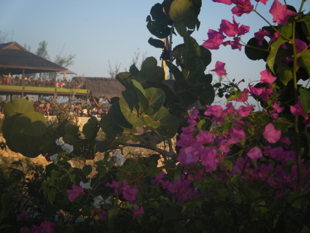 Name:  DSCF5032.jpg
Views: 700
Size:  85.7 KB