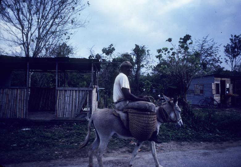 Name: 214428.jpg
Views: 301
Size: 91.3 KB