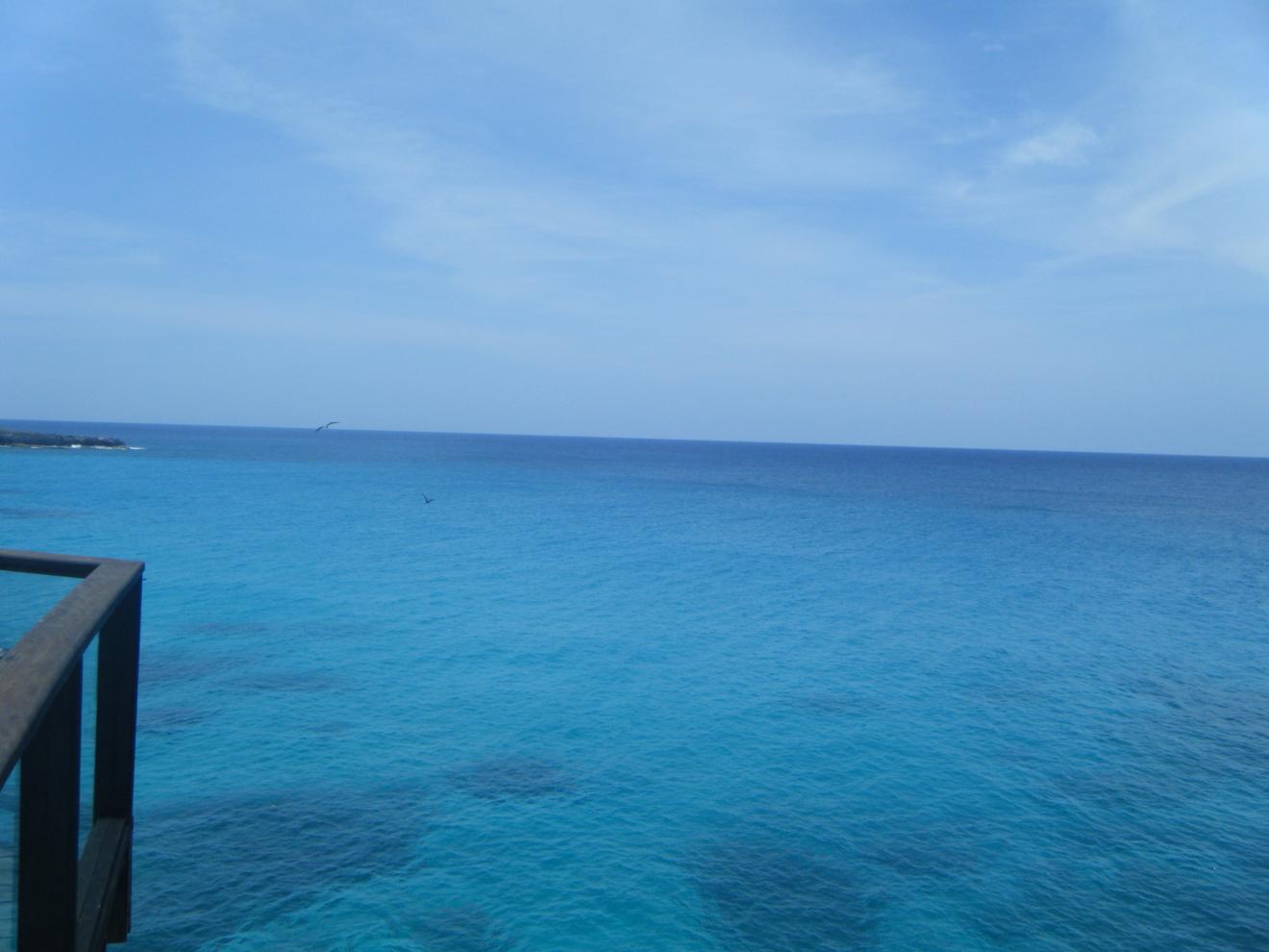 Name:  DSCF5042.jpg
Views: 642
Size:  89.4 KB
