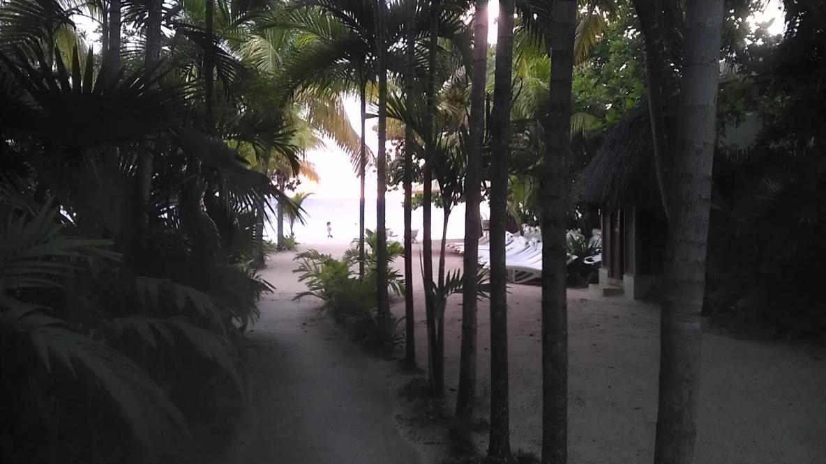 Name:  IMAG0791.jpg
Views: 588
Size:  94.9 KB