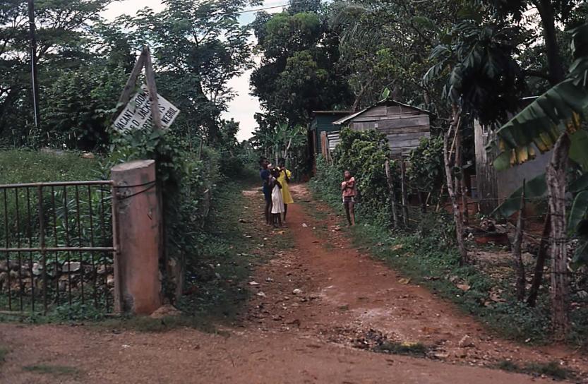 Name:  Ole Days Red Ground.jpg
Views: 536
Size:  103.0 KB
