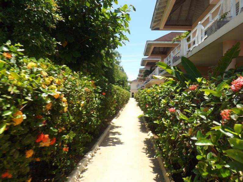 Name:  jamaica apr2013 new camera pt 1 870.jpg
Views: 1390
Size:  98.8 KB