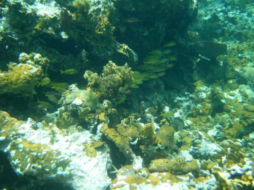 Name:  DSCF5170.jpg
Views: 679
Size:  96.0 KB