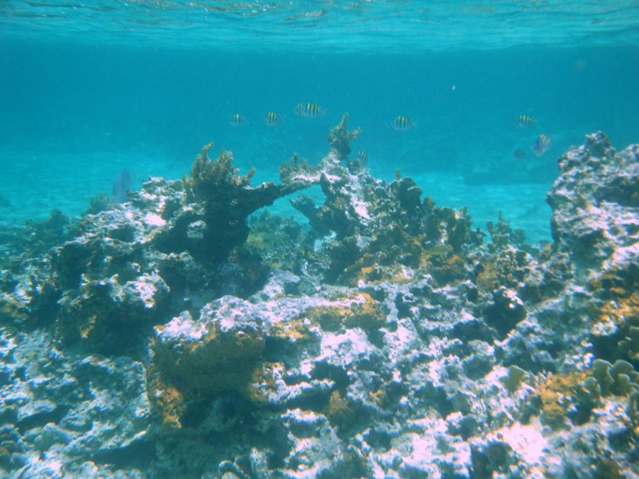 Name:  DSCF5198.jpg
Views: 661
Size:  93.2 KB