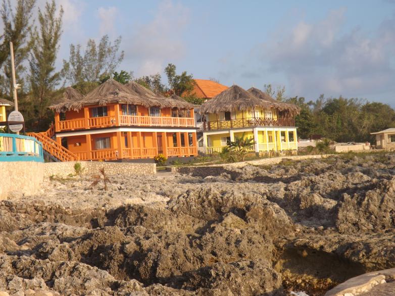 Name:  jamaica apr2013 new camera pt 1 967.jpg
Views: 1217
Size:  98.4 KB