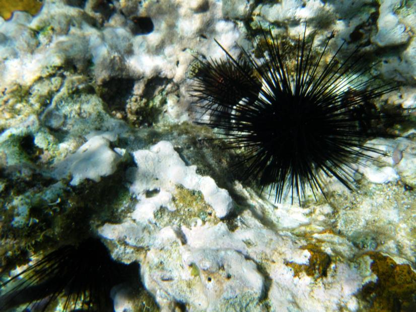 Name: DSCF5268.jpg
Views: 450
Size: 97.2 KB