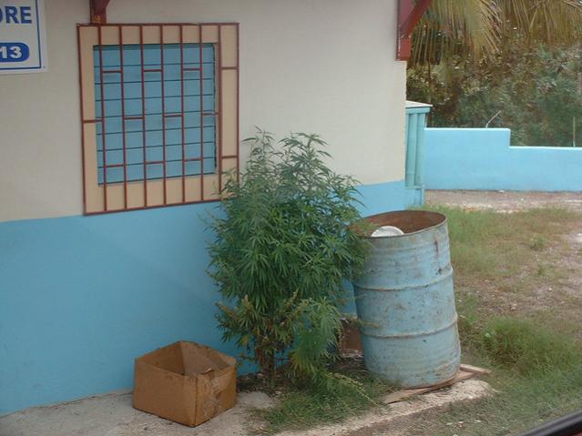 Name:  orang hill.jpg
Views: 324
Size:  43.3 KB