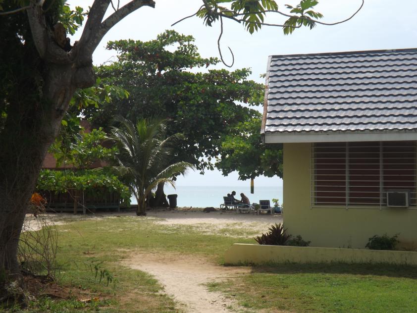 Name:  jamaica apr2013 new pt2 024.jpg
Views: 1413
Size:  96.5 KB