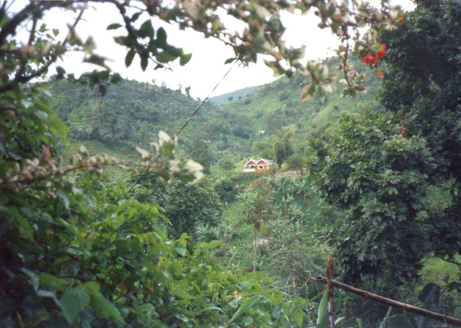 Name:  The Red House.jpg
Views: 1380
Size:  95.6 KB