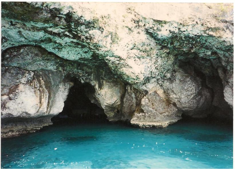 Name:  Picture 1489.jpg
Views: 742
Size:  100.3 KB