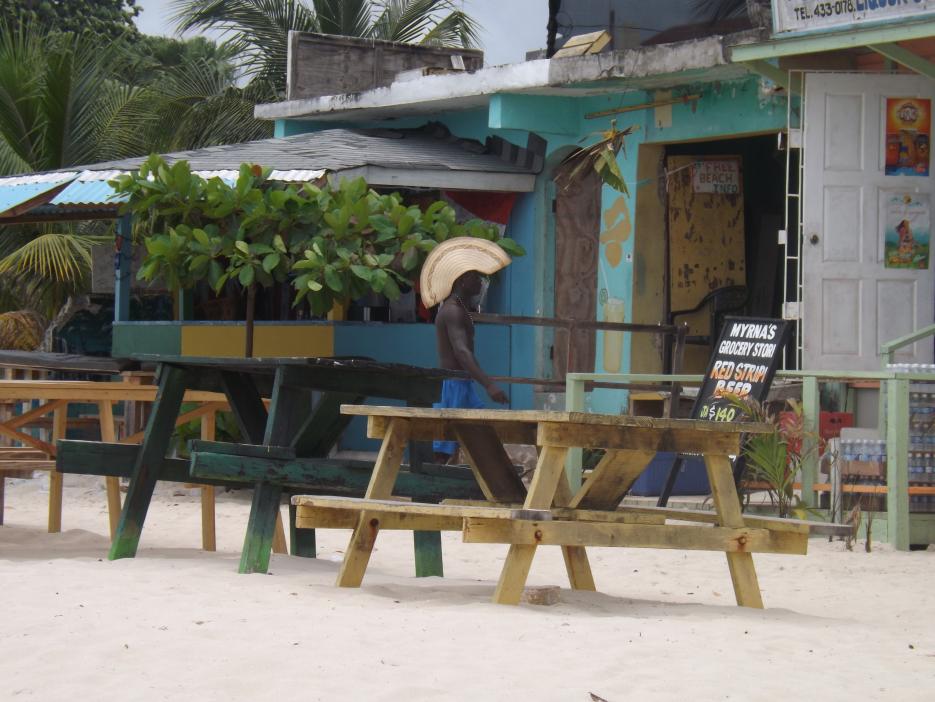 Name:  jamaica apr2013 new pt2 119.jpg
Views: 1313
Size:  92.5 KB