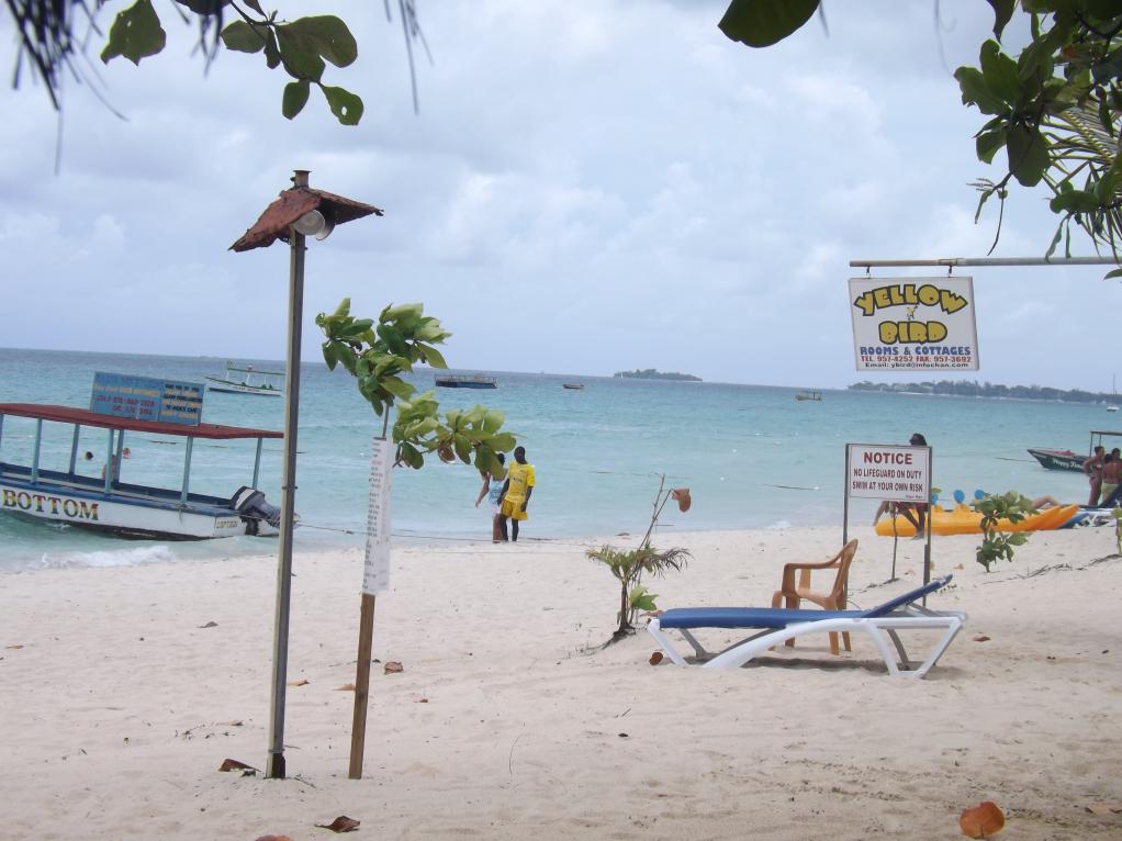 Name:  jamaica apr2013 new pt2 117.jpg
Views: 1321
Size:  89.9 KB