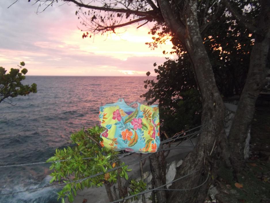 Name:  jamaica april2013 red camera 074.jpg
Views: 1856
Size:  92.3 KB