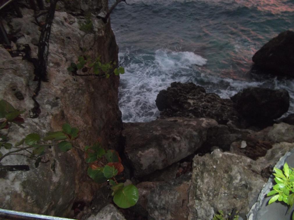 Name:  jamaica april2013 red camera 075.jpg
Views: 1763
Size:  88.8 KB