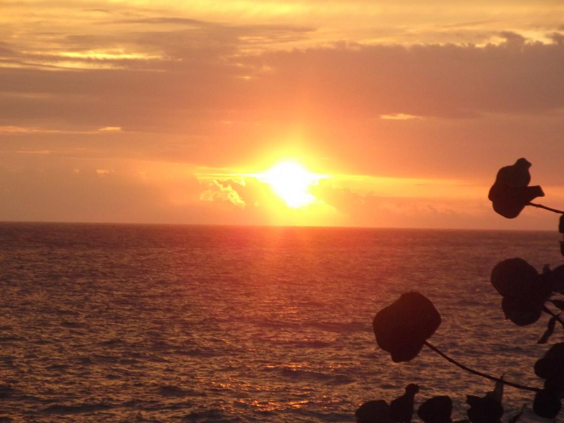 Name:  jamaica april2013 red camera 065.jpg
Views: 1786
Size:  87.1 KB