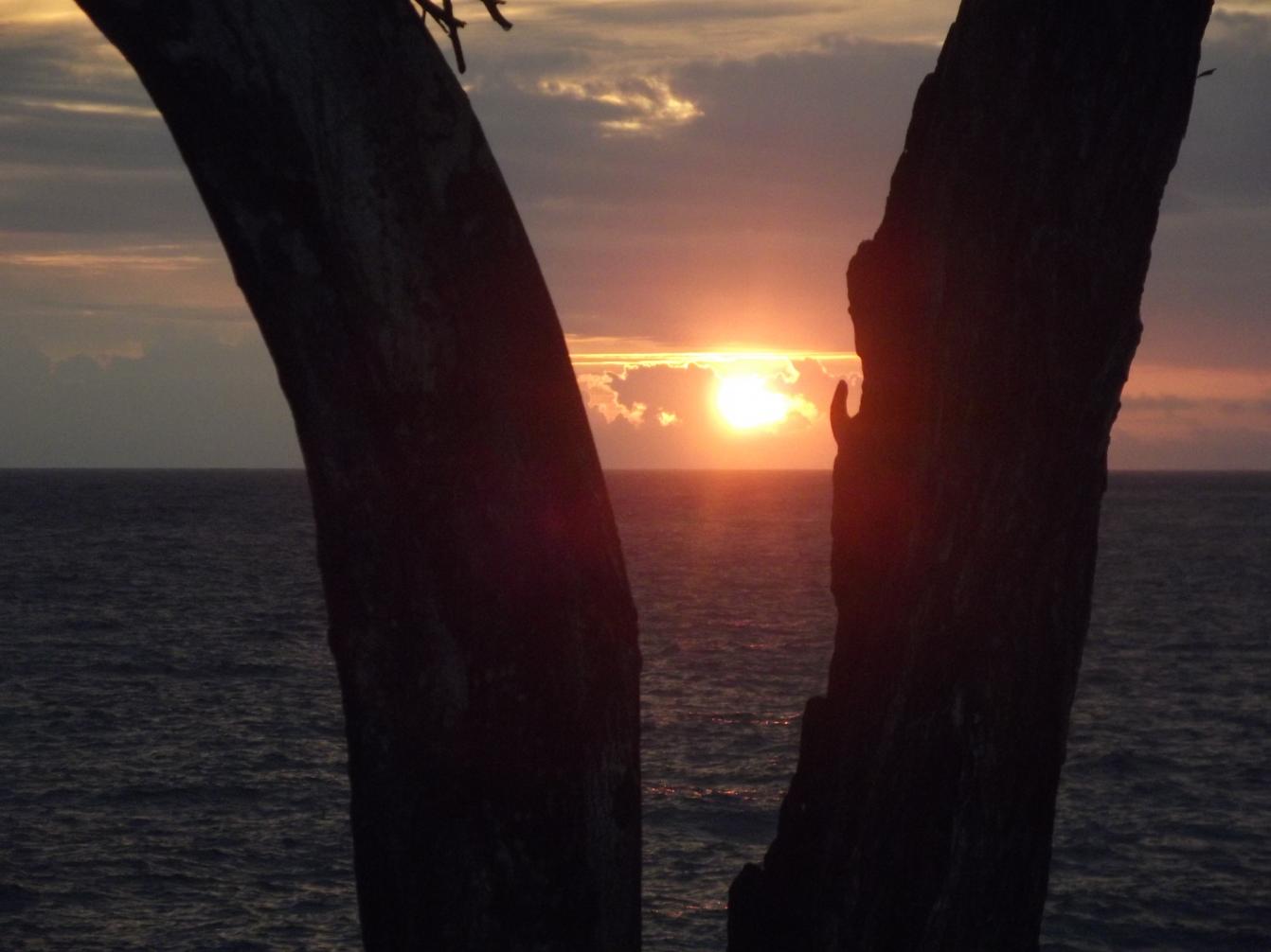 Name:  jamaica april2013 red camera 067.jpg
Views: 1784
Size:  87.5 KB